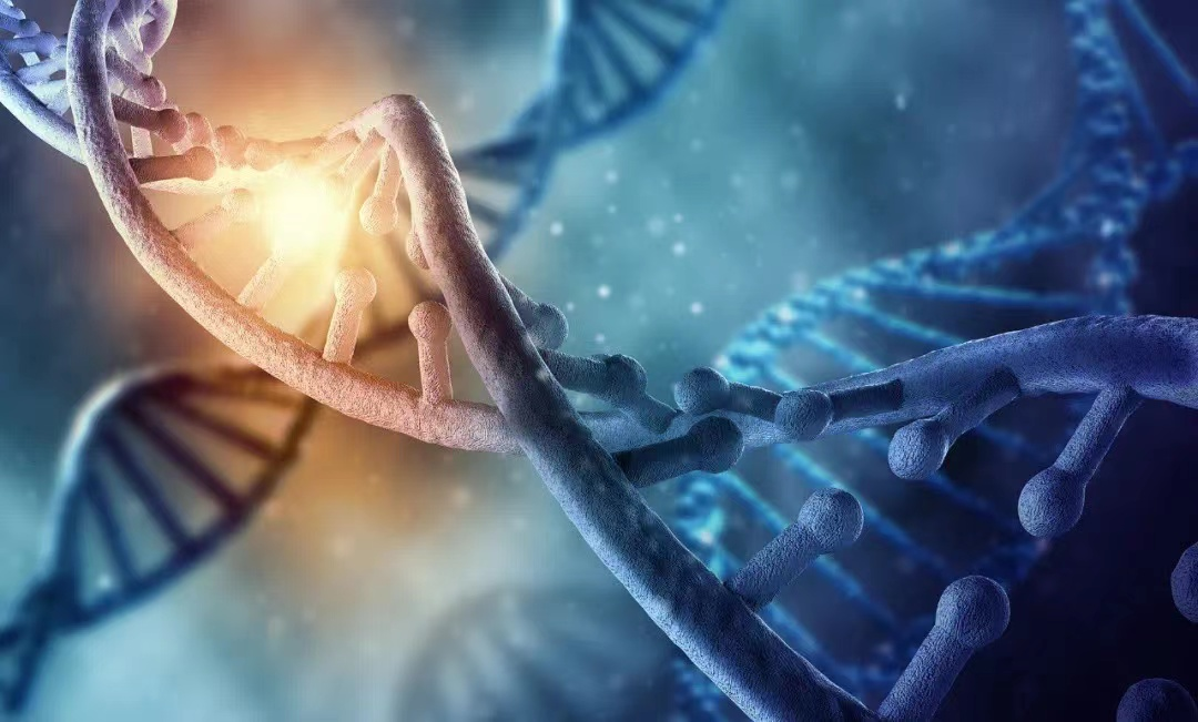 1667463579212957.png 1667463579212957.png